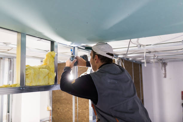 Best Specialized Insulation Services in Park View, IA