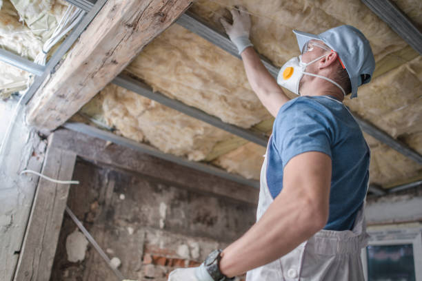 Best Commercial Insulation in Park View, IA