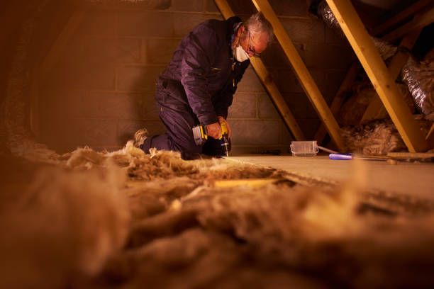Types of Insulation We Offer in Park View, IA