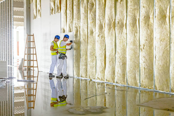 Types of Insulation We Offer in Park View, IA